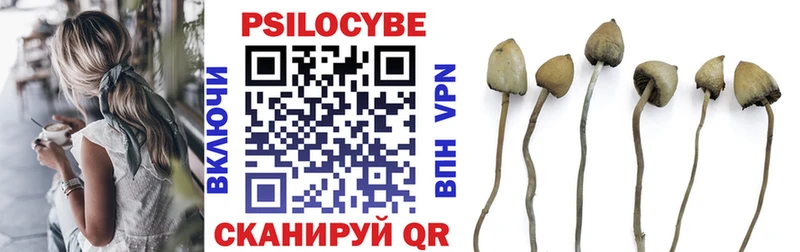 Псилоцибиновые грибы прущие грибы  Новосиль 